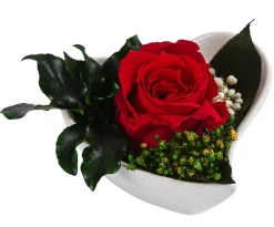 Dehner Herzschale mit Longlife-Rose Aneta, ca. B8/H5 cm Online