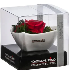 Dehner Konservierte Rosen - Herzschale mit Longlife-Rose Lena, ca. B12/H8 cm