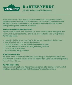 Dehner Kakteenerde, 5 l Best