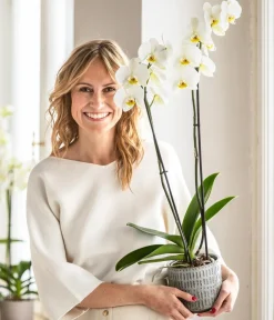 Dehner Orchideentöpfe|Blumentöpfe & Übertöpfe > Keramik-Übertopf Flynn, rund,