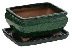 Dehner Bonsaischalen|Blumenampeln & -Schalen - Keramik-Bonsaischale, rechteckig, ca. B15/H6,5/T11 cm Dunkelgrün