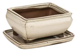 Dehner Bonsaischalen|Blumenampeln & -Schalen > Keramik-Bonsaischale, rechteckig, ca. B15/H6,5/T11 cm