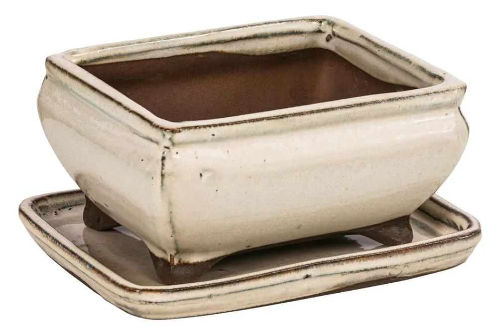 Dehner Bonsaischalen|Blumenampeln & -Schalen > Keramik-Bonsaischale, rechteckig, ca. B15/H6,5/T11 cm