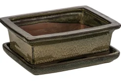 Dehner Bonsaischalen|Blumenampeln & -Schalen > Keramik-Bonsaischale, rechteckig, ca. B18/H6/T14 cm