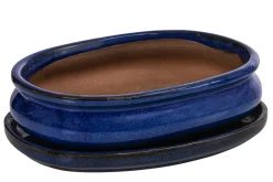 Dehner Bonsaischalen|Blumenampeln & -Schalen > Keramik-Bonsaischale, oval, ca. B19/H5/T13,5 cm