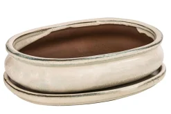 Dehner Bonsaischalen|Blumenampeln & -Schalen > Keramik-Bonsaischale, oval, ca. B19/H5/T13,5 cm