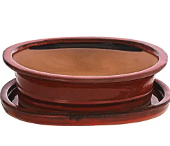 Dehner Bonsaischalen|Blumenampeln & -Schalen > Keramik-Bonsaischale, oval, rot