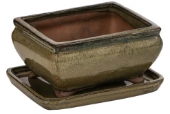 Dehner Keramik-Bonsaischale, rechteckig, ca. B15/H6,5/T11 cm Grün New