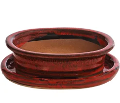 Dehner Bonsaischalen|Blumenampeln & -Schalen - Keramik-Bonsaischale, oval, ca. B19/H5/T13,5 cm Dunkelgrün