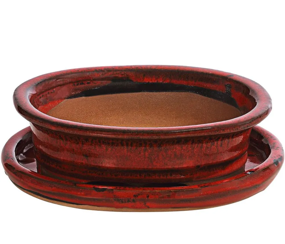 Dehner Bonsaischalen|Blumenampeln & -Schalen - Keramik-Bonsaischale, oval, ca. B19/H5/T13,5 cm Dunkelgrün