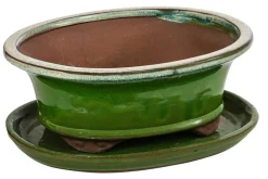 Dehner Bonsaischalen|Blumenampeln & -Schalen - Keramik-Bonsaischale, oval, /beige Hellgrün