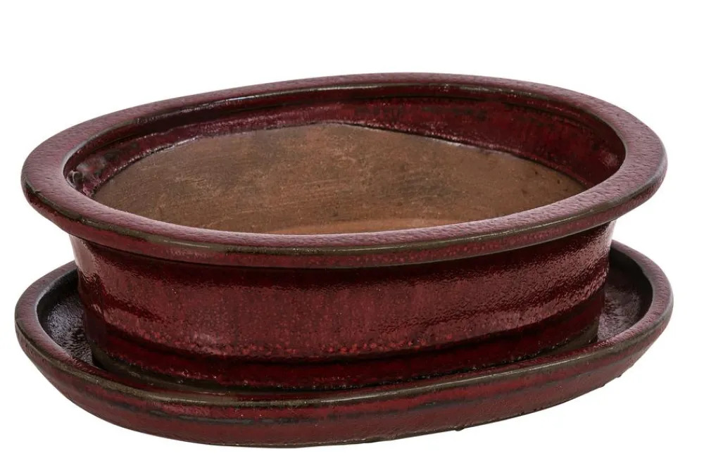 Dehner Bonsaischalen|Blumenampeln & -Schalen - Keramik-Bonsaischale, oval, /