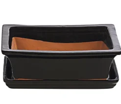 Dehner Bonsaischalen|Blumenampeln & -Schalen - Keramik-Bonsaischale, rechteckig, , ca. B25/H12 cm Schwarz