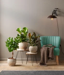 Dehner Blumenampeln & -Schalen|Blumentöpfe & Übertöpfe > Keramik-Jardiniere Lana, oval, , ca. B30/H17/15 cm