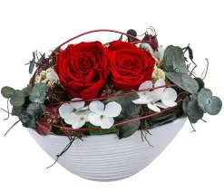 Dehner Konservierte Rosen > Keramik-Jardiniere mit Longlife-Rose Kiara, , ca. B23/H15/T12 cm