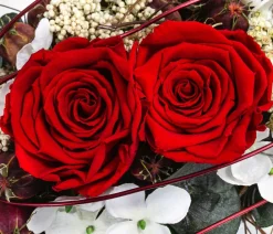 Dehner Konservierte Rosen > Keramik-Jardiniere mit Longlife-Rose Kiara, , ca. B23/H15/T12 cm
