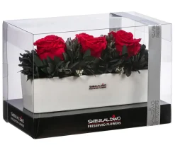 Dehner Keramik-Jardiniere mit Longlife-Rose Elen, , ca. B23/H11/T7 cm New
