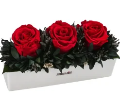 Dehner Keramik-Jardiniere mit Longlife-Rose Elen, , ca. B23/H11/T7 cm New