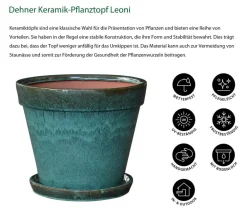 Dehner Keramik-Pflanztopf Leoni inkl. Untersetzer, konisch, ca. Ø15,5/H13 cm Grün