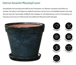 Dehner Keramik-Pflanztopf Leoni inkl. Untersetzer, konisch, ca. Ø15,5/H13 cm Schwarz Outlet