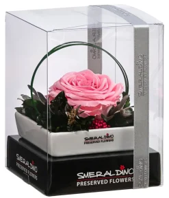 Dehner Konservierte Rosen > Keramik-Schale mit Longlife-Rose Dita, ca. B10/H11/T10 cm