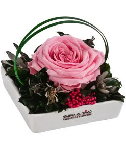 Dehner Konservierte Rosen > Keramik-Schale mit Longlife-Rose Dita, ca. B10/H11/T10 cm