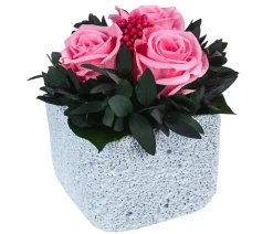 Dehner Konservierte Rosen > Keramik-Schale mit Longlife-Rose Izzy, ca. Ø12/H16 cm