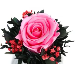 Dehner Keramik-Schale mit Longlife-Rose Perla, ca. Ø12/H16 cm Rosa Best