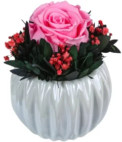 Dehner Keramik-Schale mit Longlife-Rose Perla, ca. Ø12/H16 cm Rosa Best