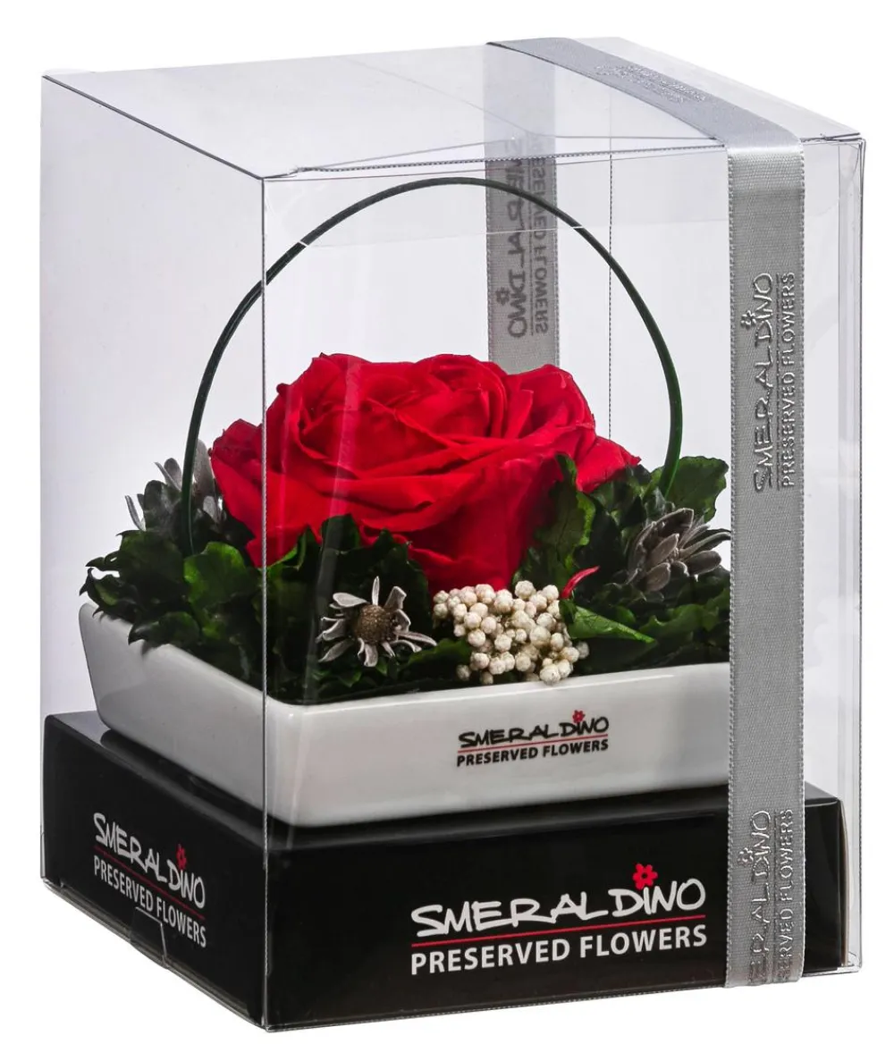 Dehner Keramik-Schale mit Longlife-Rose Dita, ca. B10/H11/T10 cm Online