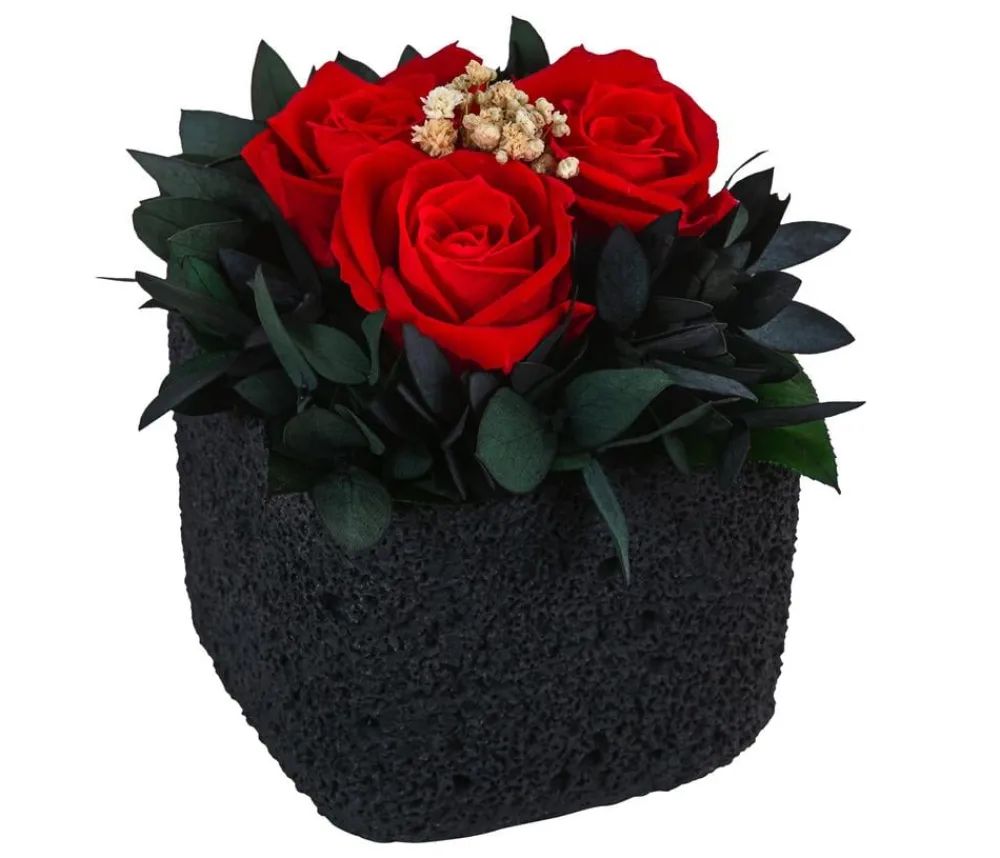 Dehner Konservierte Rosen - Keramik-Schale mit Longlife-Rose Izzy, ca. Ø12/H16 cm Rot