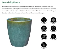 Dehner Keramik-Topf Eretria, konisch, glasiert Grün Discount