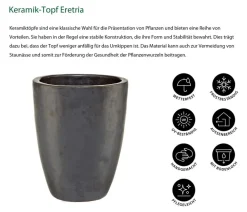 Dehner Vasen|Blumentöpfe & Übertöpfe - Keramik-Topf Eretria, konisch, glasiert Dunkelgrau