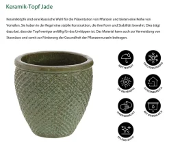 Dehner Keramik-Topf Jade, rund Dunkelgrün Online