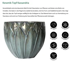 Dehner Blumentöpfe & Übertöpfe > Keramik-Topf Kassandria, rund,