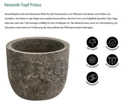 Dehner Blumentöpfe & Übertöpfe > Keramik-Topf Priäus, rund, -