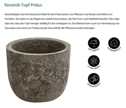 Dehner Blumentöpfe & Übertöpfe - Keramik-Topf Priäus, rund, -