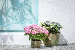 Dehner Keramik-Topf Rhodos, rund, blau- Hot