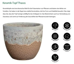 Dehner Keramik-Topf Thasos, rund Hellbraun Online