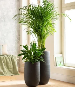 Dehner Keramik-Vase Alex, rund, Dunkelgrau Discount