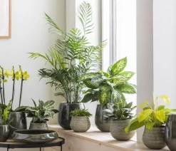 Dehner Vasen|Dekoartikel > Keramik-Vase Linn, bauchig,