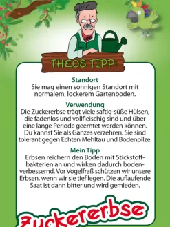 Dehner Kids Gartengemüse > Zuckererbse