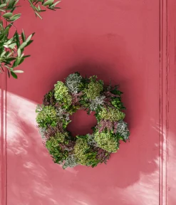 Dehner Kränze & Pflanzendeko - Kranz Sedum, ca. Ø28 cm
