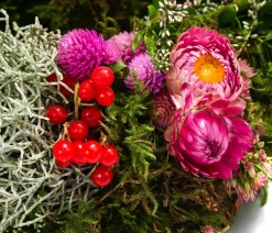 Dehner Kränze & Pflanzendeko > Kranz Strohblume, ca. Ø28 cm
