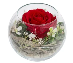 Dehner Kugelglas mit Longlife-Rose Diana, , ca. Ø10/H10 cm Outlet