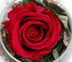 Dehner Kugelglas mit Longlife-Rose Amelie, , ca. Ø10/H10 cm Outlet