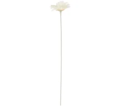 Dehner Kunstpflanzen > Kunstblume Gerbera, ca. H56 cm