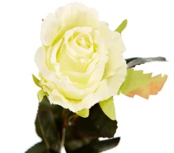 Dehner Kunstblume Rose Kolumbia, 43 cm Creme New