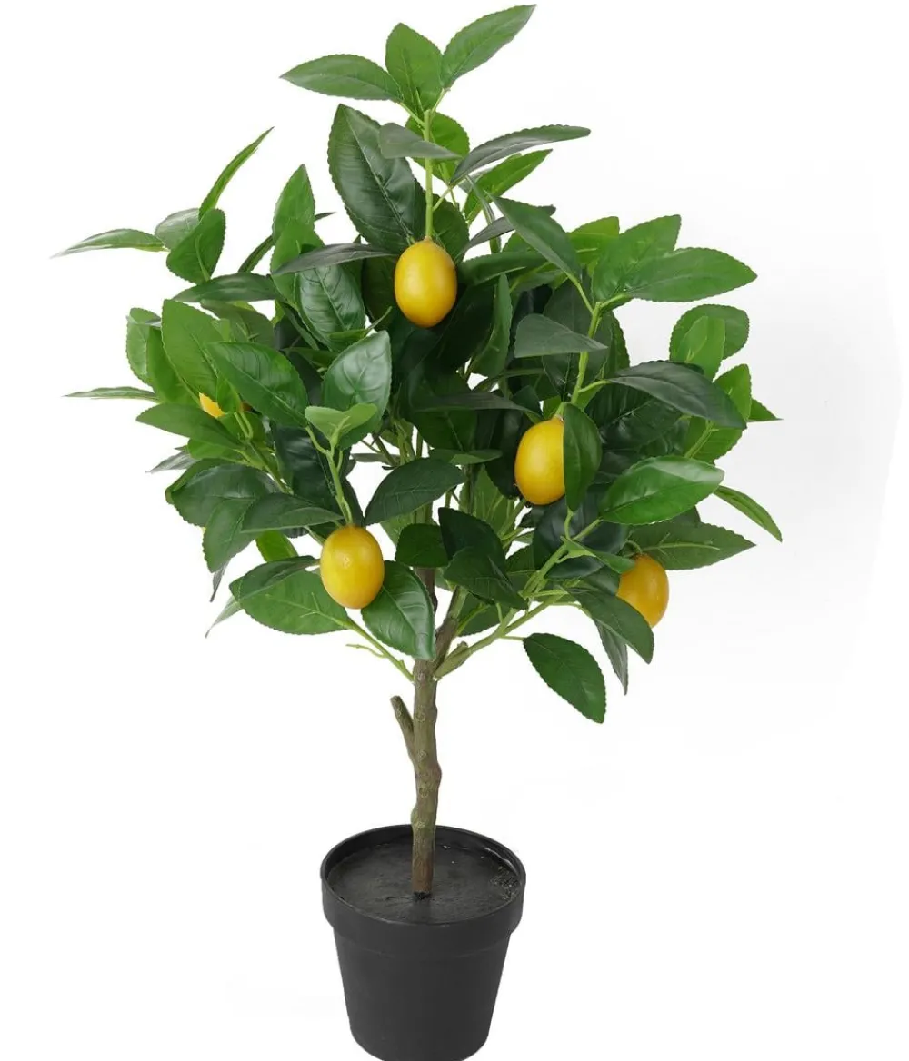 Dehner Kunstpflanzen > Kunstpflanze Zitronenbaum