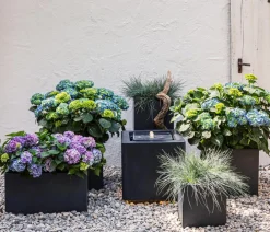 Dehner Pflanzkübel & Blumenkästen > Kunststein-Kasten Manchester, rechteckig
